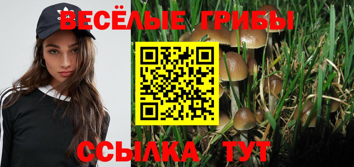 Ногинск  Псилоцибиновые грибы мухоморы  Вход с VPN 