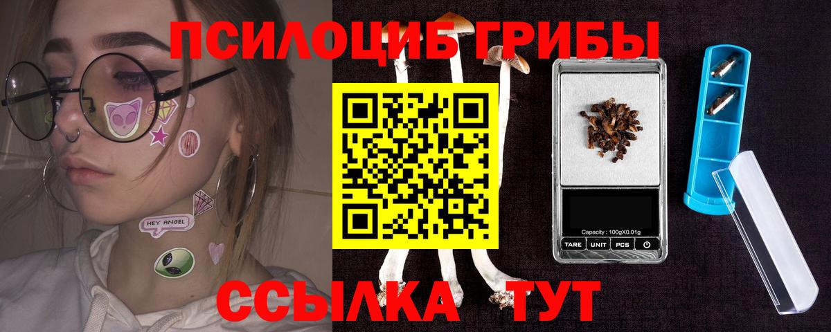 Псилоцибиновые грибы мухоморы Ногинск